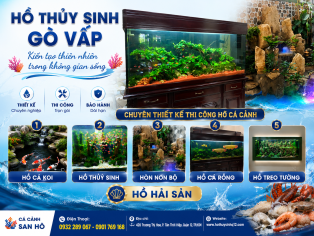 CỬA HÀNG CÁ CẢNH SAN HÔ