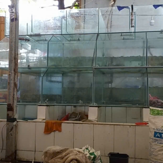 Mẫu hồ hải sản- D23