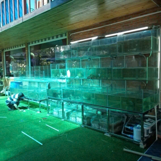 Mẫu hồ hải sản- D14