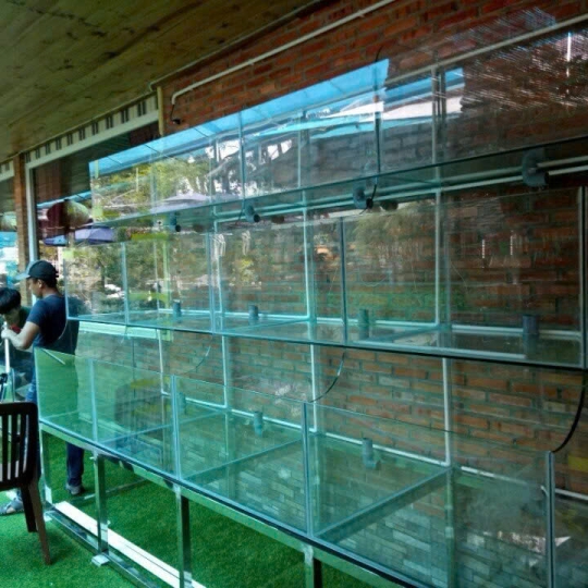 Mẫu hồ hải sản- D16