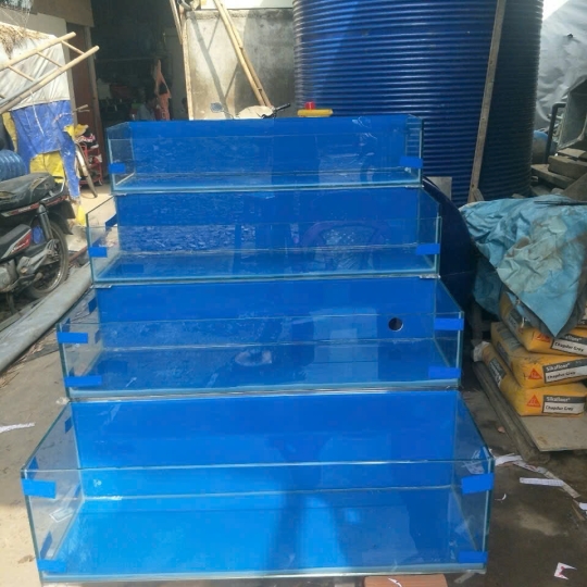 Mẫu hồ hải sản- D18