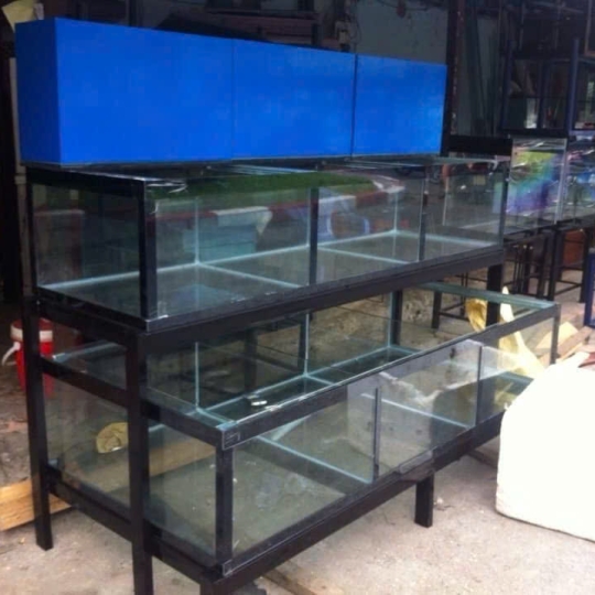 Mẫu hồ hải sản- D19