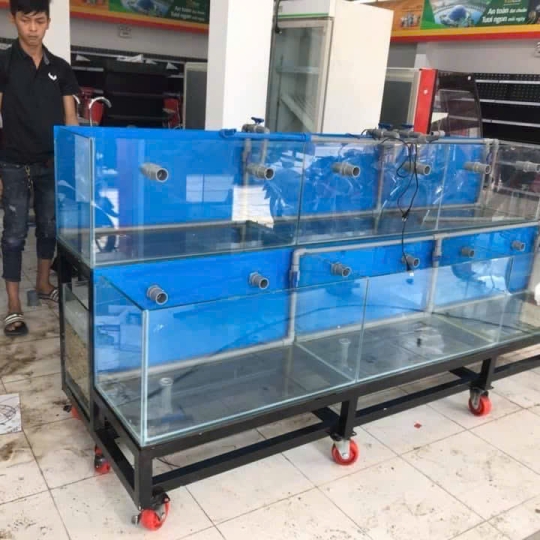 Mẫu hồ hải sản- D21
