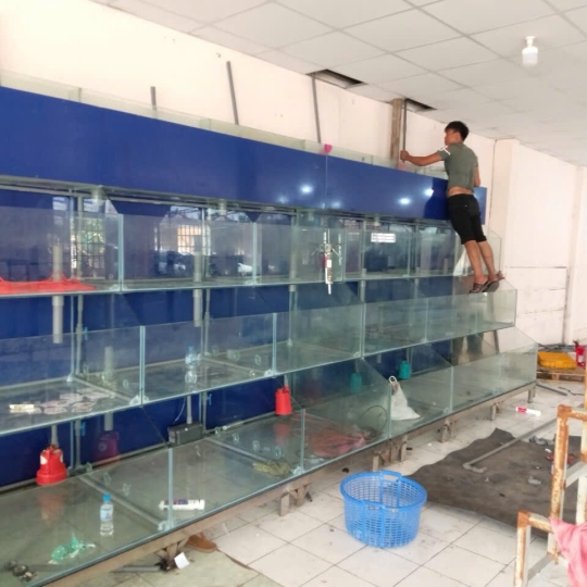 Mẫu hồ hải sản- D20