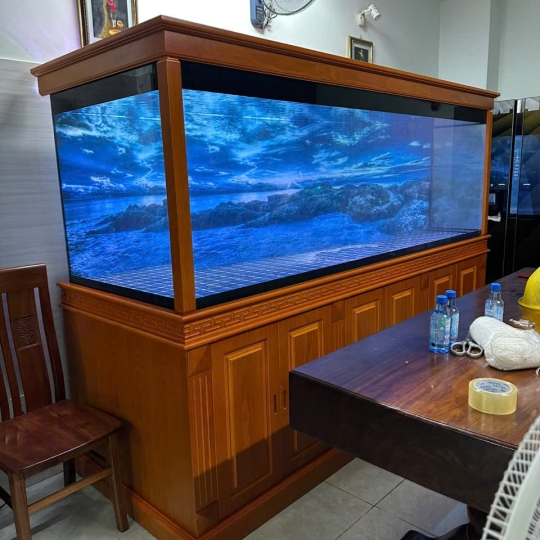 Mẫu hồ cá rồng- B20