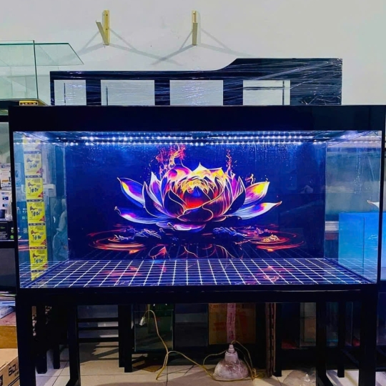Mẫu hồ cá rồng- B18