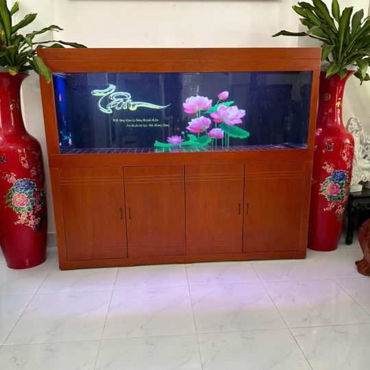 Mẫu hồ cá rồng- B11