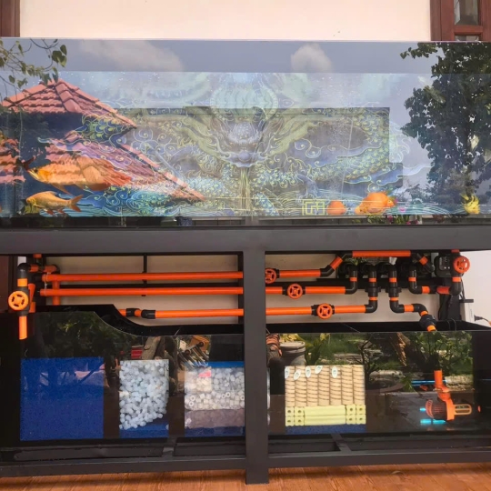 Mẫu hồ cá rồng- B19